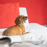 Hotel The Clifton Bristol