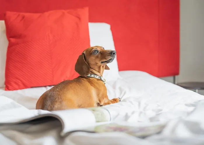 Hotel The Clifton Bristol